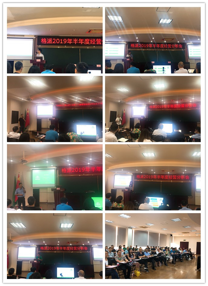 集團2019年半年度經營分析會圓滿召開！